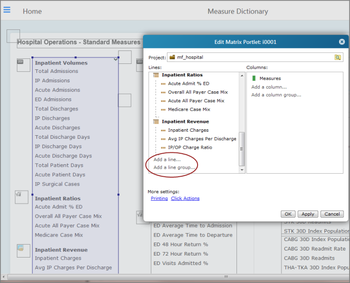 Measure dictionary in edit mode showing the edit matrix portlet dialog box.