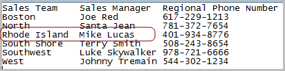 Example of a lookup table that shows columns for sales team, sales manager, and phone number.