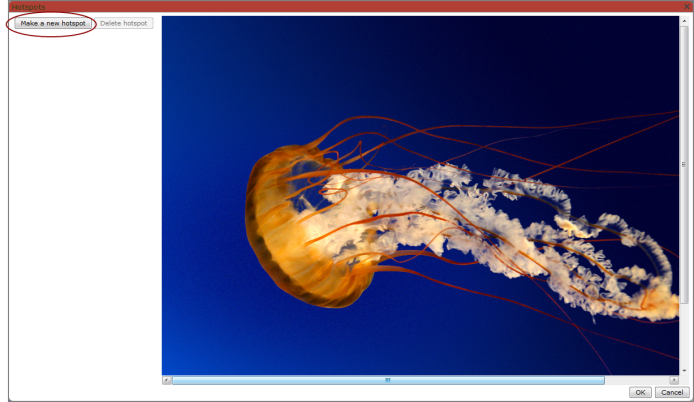 Hotspots dialog box showing the selected image portlet and location of the new hotspot option..