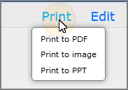 Print options that display if print to image and prtint to ppt are enabled.