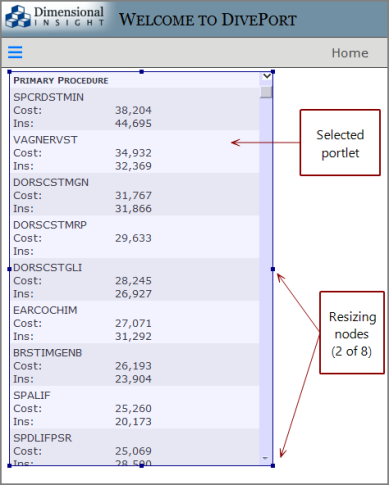 Selected portlet with blue border.