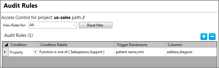 Example Audit Rules Screen