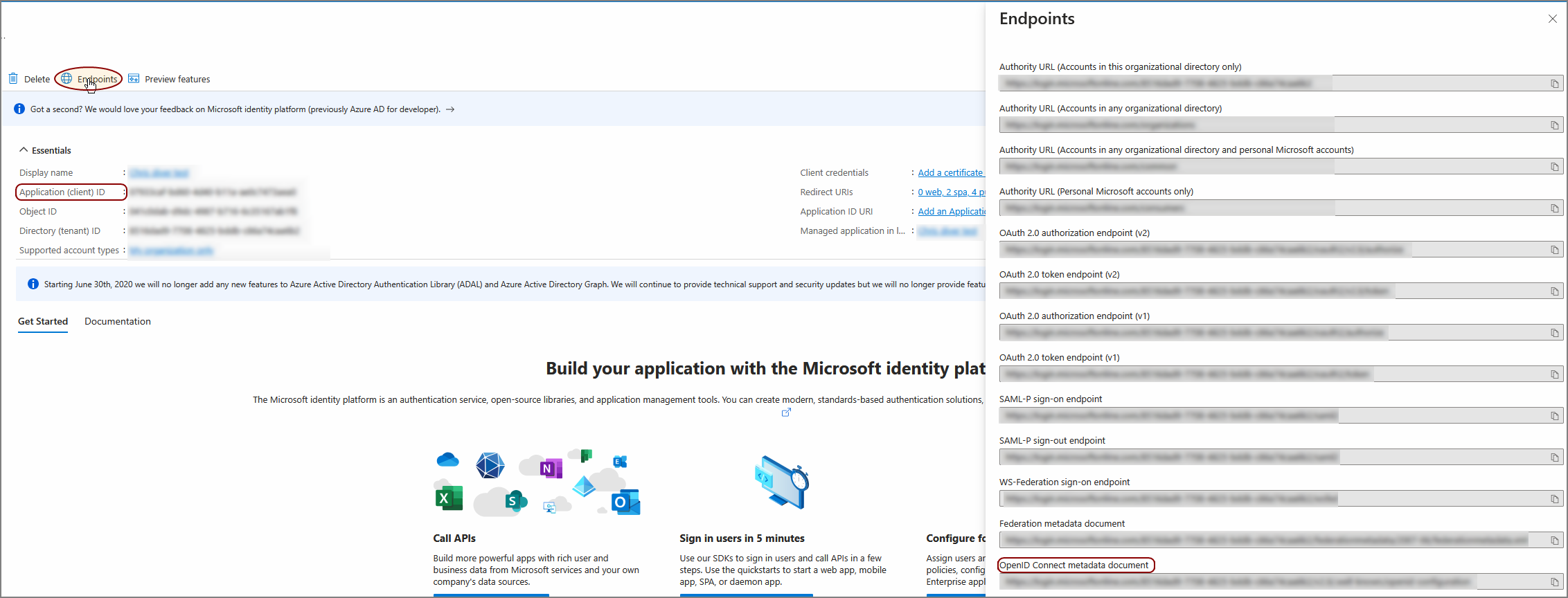 Microsoft Entra ID application client ID and endpoints view