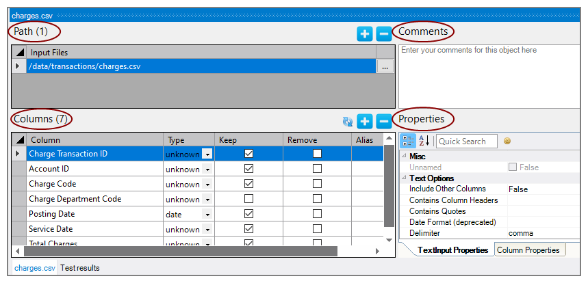 Text Input Properties Pane