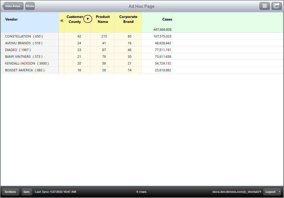 This is an example of an ad hoc page sorted down on the Dive Dimension Customer County.